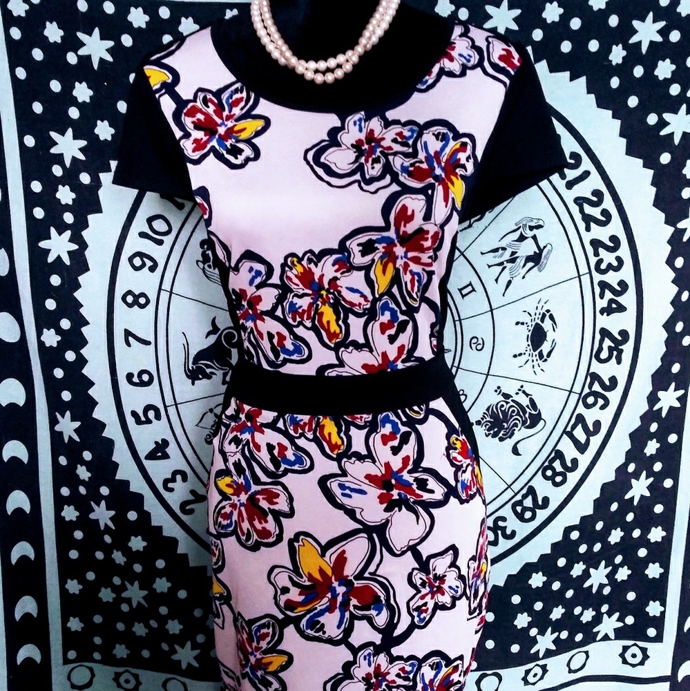 Fashion to figure multi colored dress